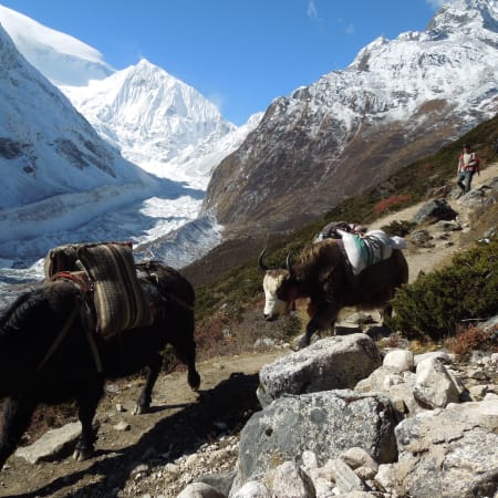 16-Day Manaslu Circuit Trek from Kathmandu via Larkya La Pass