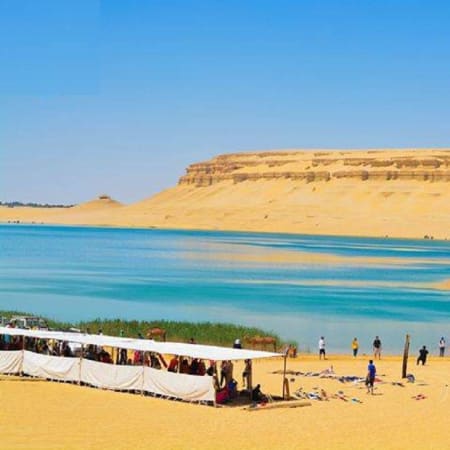12-Hour Fayoum Oasis Tour from Cairo with Wadi El-Hitan and Sandboarding