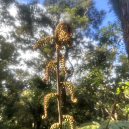 7-Hour Private Auckland East Coast Walk and Wine Tour via Matakana
