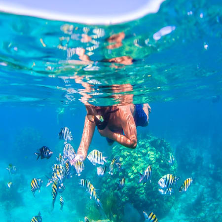 8 horas en Playa Blanca de Barú desde Cartagena con almuerzo