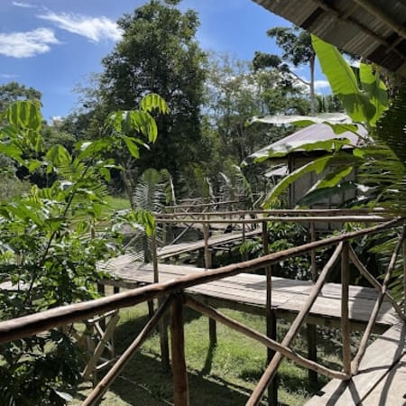3-Day Amazon Jungle Tour from Iquitos with Dolphins and Piranha Fishing