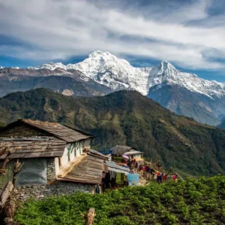 7-Day Sikles Trek in Annapurna with Gurung Villages and Mountain Views
