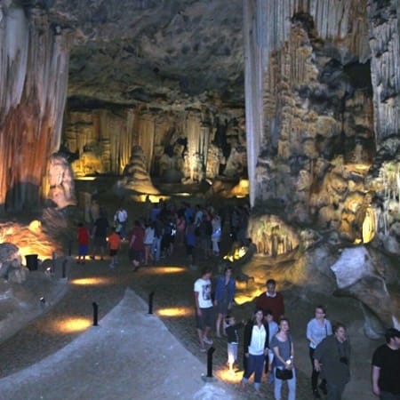 7-Hour Oudtshoorn Tour from George with Cango Caves and Ostrich Farm