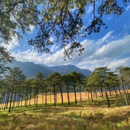 7-Day Assam to Arunachal Tour with Dong Valley First Sunrise