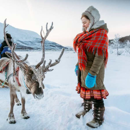 4-Hour Husky Farm Tour in Murmansk with Dog Sleigh Ride