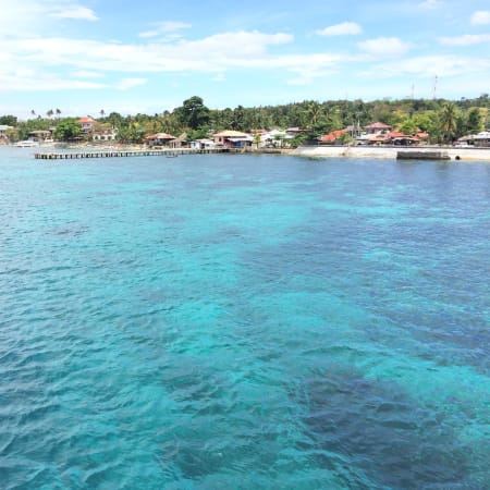 1-Day Snorkelling and Diving Tour in Tan-Awan with Whale Sharks