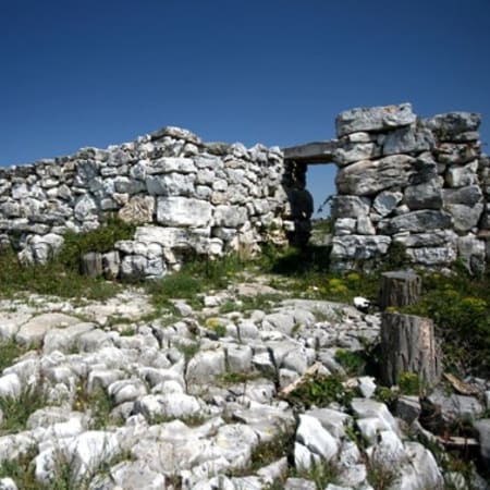 4-Hour Monkodonja and Rovinj Walking Tour with Saint Eufemia