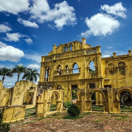 Full-Day Orang Utan Island and Ipoh Tour with Cave Temples