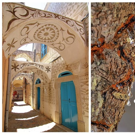 6-Hour Chios Island Sightseeing Tour with Mastic Villages or Nea Moni