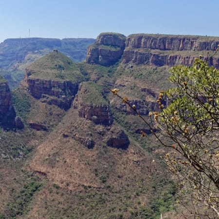 5-Day Kruger Safari and Blyde River Canyon Tour from Johannesburg