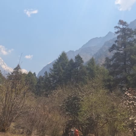 9-Day Langtang Valley Trek from Kathmandu with Kyangjin Gompa