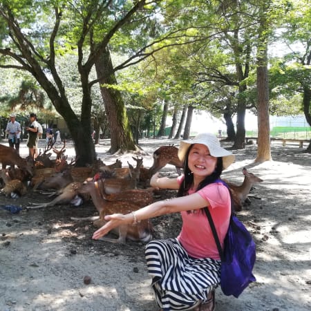 9-Hour Private Nara Tour from Osaka with Deer Park and Tōdai-ji