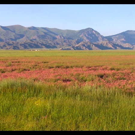 5-Day Nature Tour from Almaty with Charyn, Kolsay and Kaiyndy