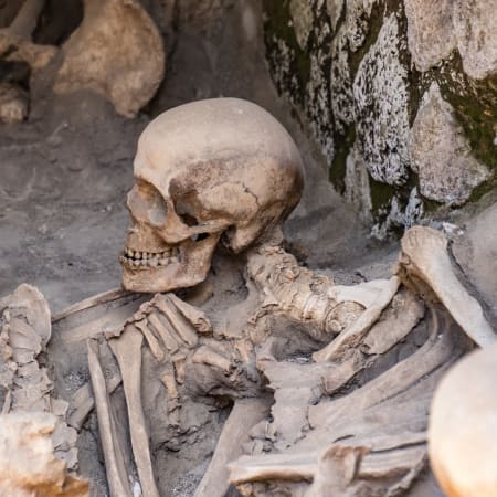2-Hour Herculaneum Walking Tour with Archaeologist Guide