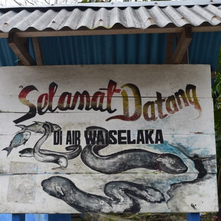 5-Hour East Ambon Beach Tour with Waai Giant Eels and Natsepa Snack
