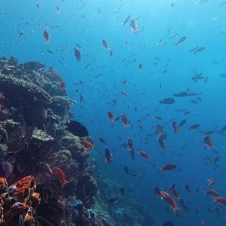 2-Day Labuan Bajo and Komodo Island Shore Excursion from Bali