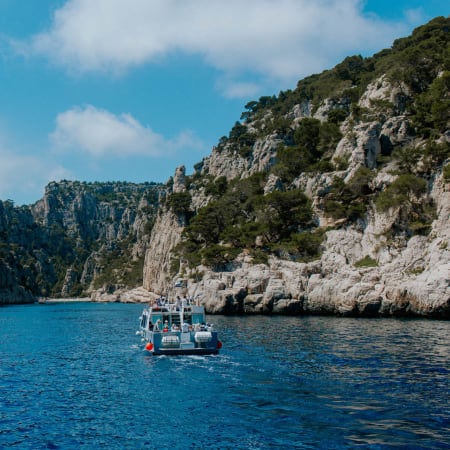 7-Hour Provence Private Tour with Cassis Calanques and Wine Tasting