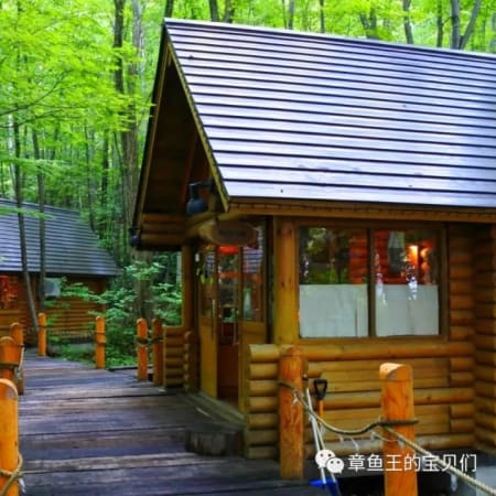 10-Hour Takayama and Shirakawa-go Tour from Nagoya Station