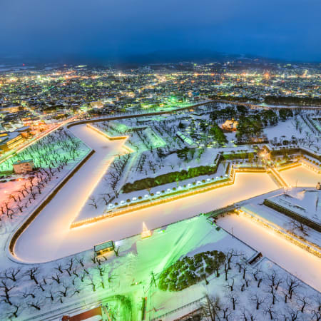 3-Hour Hakodate Goryokaku Walking Tour with Samurai History