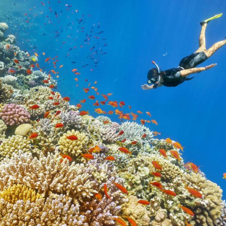 7-Hour Hamata Islands Snorkelling Tour from Marsa Alam with Lunch