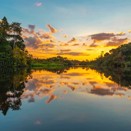 4-Day Amazon Jungle Tour to Pacaya-Samiria from Lima