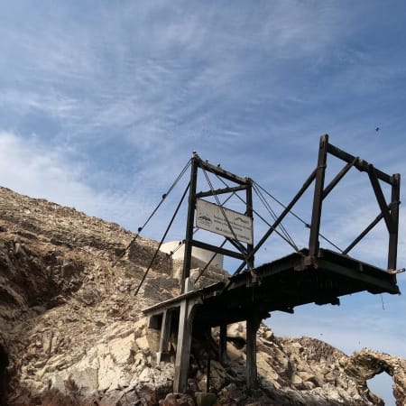 2-Hour Ballestas Islands Wildlife Tour from Paracas with Candelabra