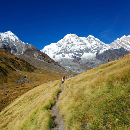 11-Day Annapurna Base Camp Trek from Pokhara with Poon Hill