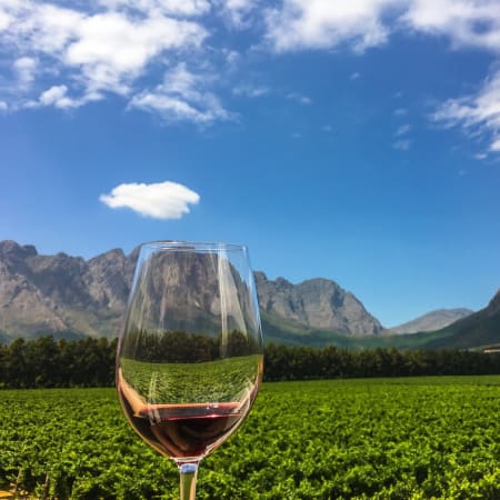 5-Day Cape Town and Stellenbosch Tour with Penguins and Winelands