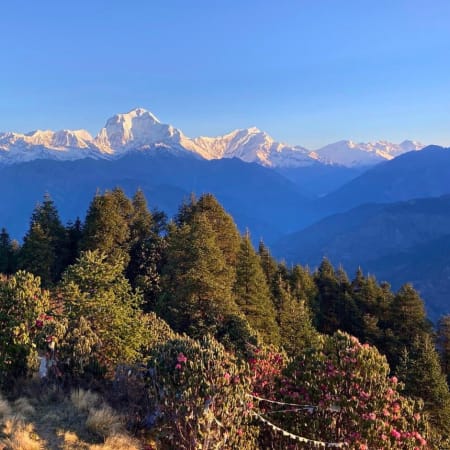 9-Day Ghorepani Poon Hill Trek in Nepal with Kathmandu Heritage Sites