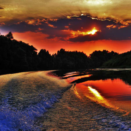5-Day Danube Delta Tour from Bucharest with Sulina and Letea Forest