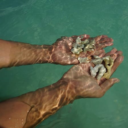 3-Day Perhentian Island Resort Stay from Kuala Besut with Snorkelling