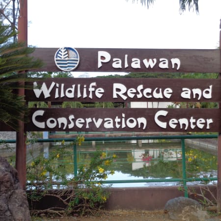 4-Hour Puerto Princesa City Tour with Crocodile Farm and Bakers Hill