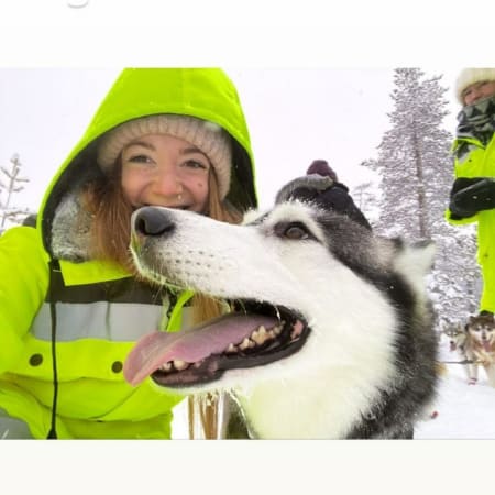 4-Hour Husky Farm Tour in Murmansk with Dog Sleigh Ride