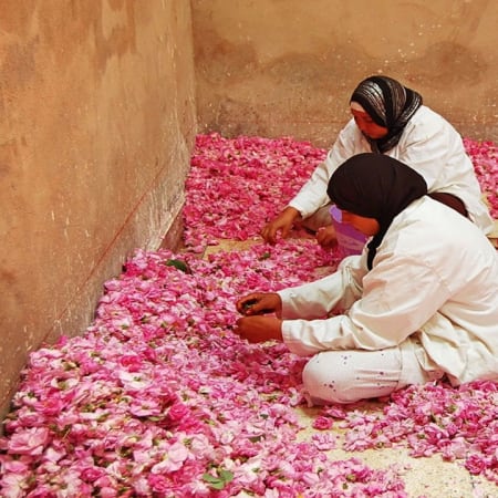 8-Day Morocco Cultural Tour from Casablanca to Marrakech with Sahara