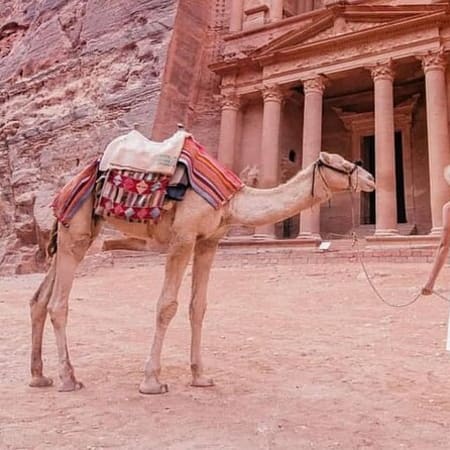 1-Day Petra Tour from Sharm El-Sheikh with Aqaba Cruise Crossing