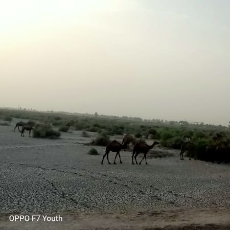 11-Day Southern Pakistan Heritage Tour from Karachi to Islamabad