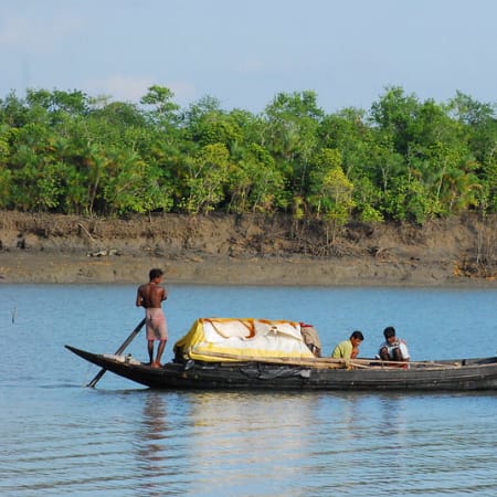 3-Day Sundarbans Mangrove Safari from Kolkata with Gosaba Village