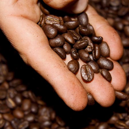 8-Day Colombia Heritage Tour with San Agustín and Coffee Culture
