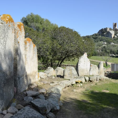 9-Hour Olbia and Costa Smeralda Tour with Winery Tasting