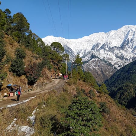 5-Hour Trek to Naddi Village from McLeod Ganj with Gaddi Lunch
