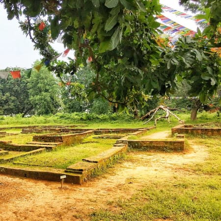 5-Day Lumbini and Ramagram Tour from Kathmandu with Tilaurakot