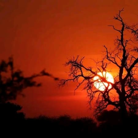10-Day South Africa Safari with Soweto, Sun City and Sabi Sand