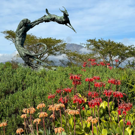 9-Hour Stellenbosch Wine and Art Tour with Dylan Lewis Garden