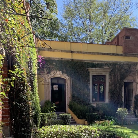 5-Hour Frida Kahlo Walking Tour in Coyoacán with Blue House Visit