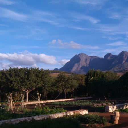 9-Hour Cape Winelands Tour with Tastings in Franschhoek and Stellenbosch