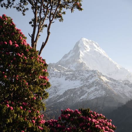 10-Day Annapurna Base Camp Heli Trek with Poon Hill Sunrise