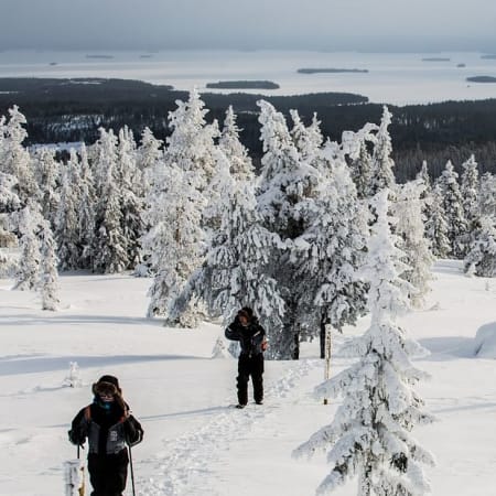 3-Hour Snowshoe Trekking in Rovaniemi with Campfire BBQ