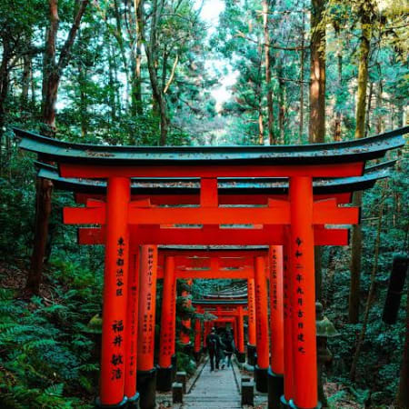 7-Hour Kyoto and Nara Tour with Fushimi Inari and Sacred Deer