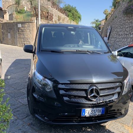 Tour privato di 1 giorno a Positano, Sorrento e Pompei in minivan