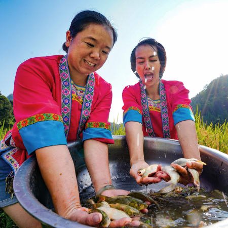 1-Day Longji Rice Terraces Tour with Minority Villages and Hike